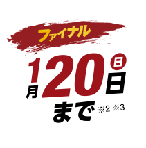 ファイナル 1月20日(日)まで