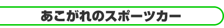 ��������̃X�|�[�c�J�[