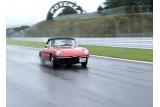 Museo Alfa Romeo Meeting 2005�̗l�q