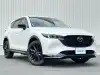 ＣＸ－５