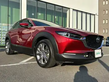 マツダ ＣＸ－３０ 20S プロアクティブツーリングセレ 360°ビュー・モニタETCパワーシート