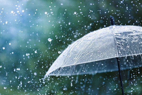 雨や台風が多い季節ですね！