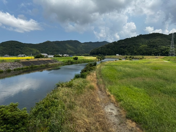 お休みの日に散歩