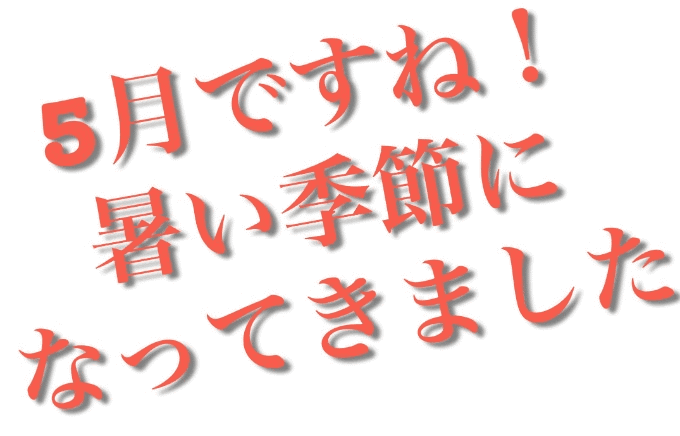 【OPEN】5月2日(火)　営業開始です！