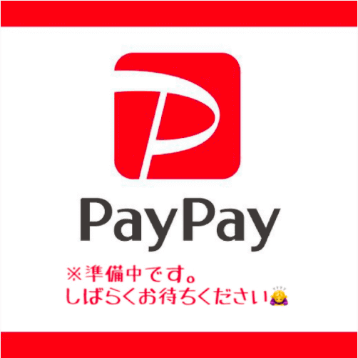 PayPay支払い準備中！！