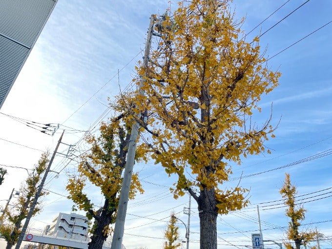 【年末年始の営業について】