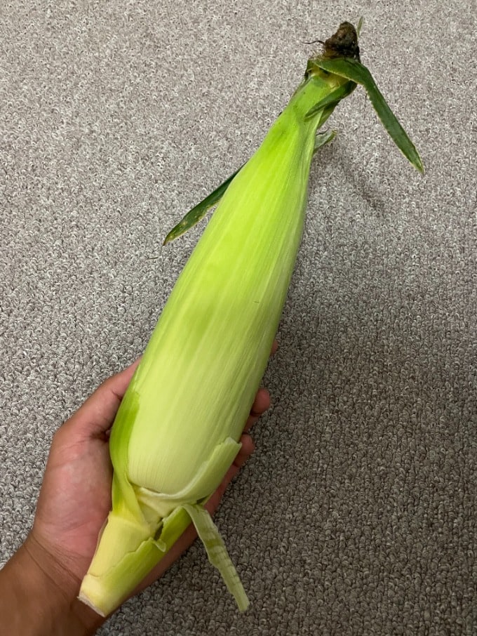 夏野菜の季節