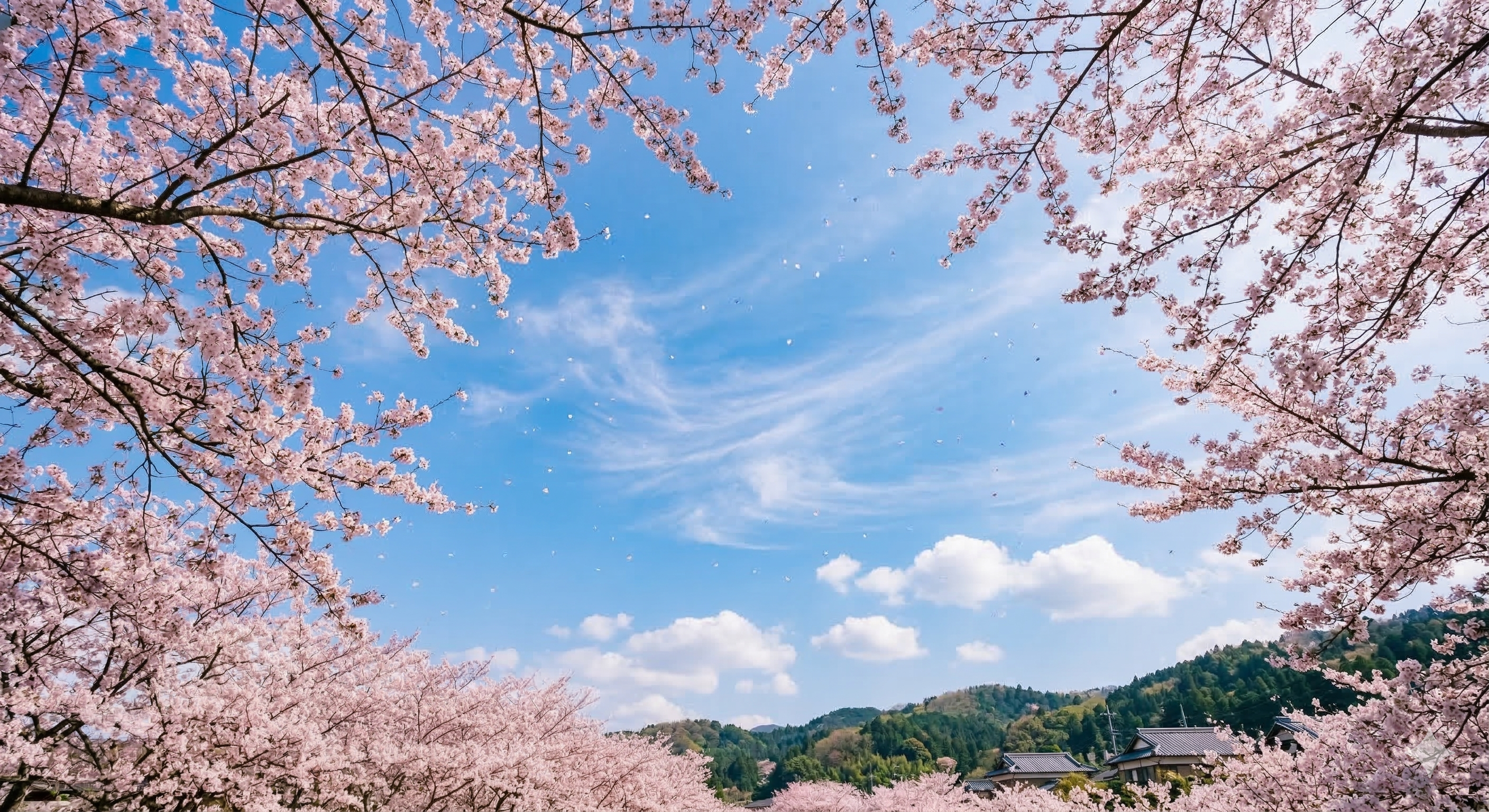 もう春ですね