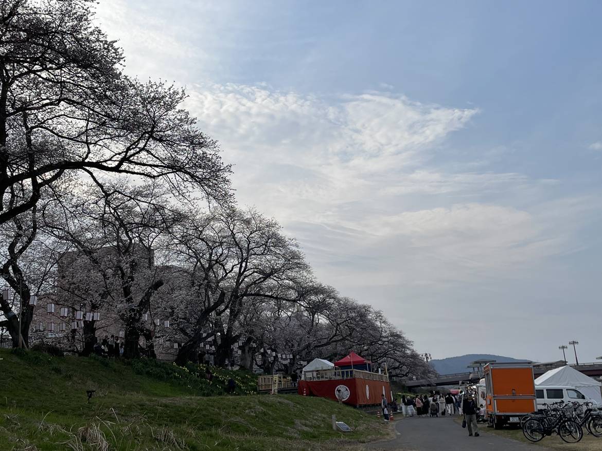 桜まつり