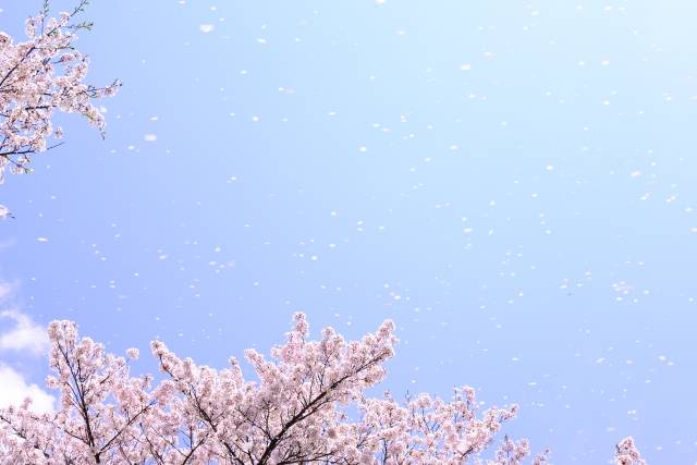 この時期は特に交通事故には気を付けて！！