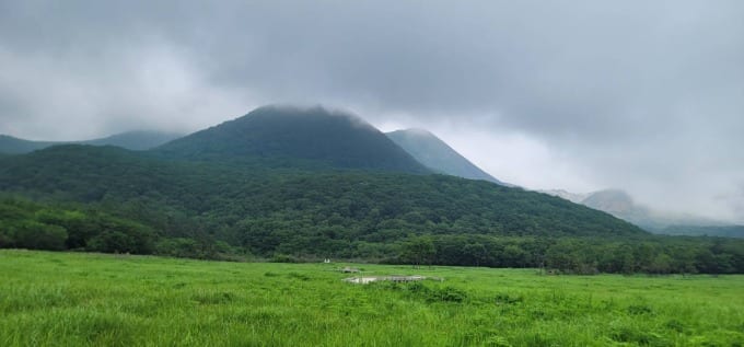  大湿原