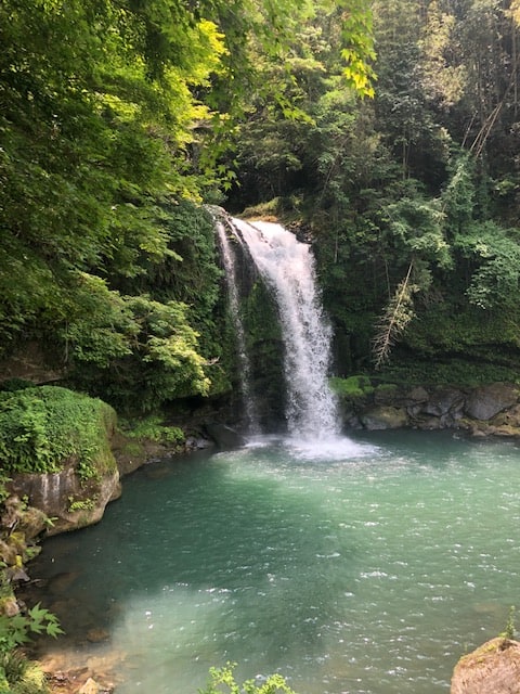 暑い日が続きますので