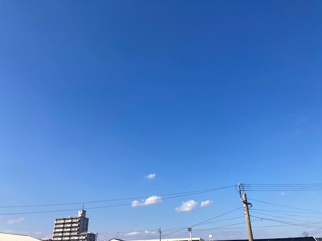 花粉に気を付けましょう