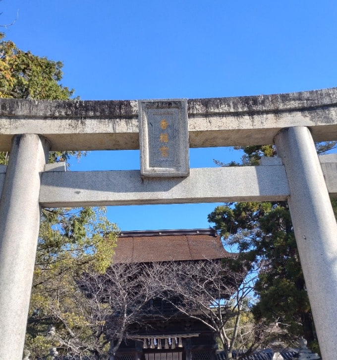 今年の運勢は？