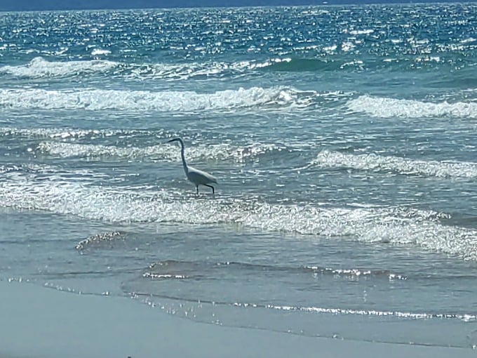 恒例の海散歩！