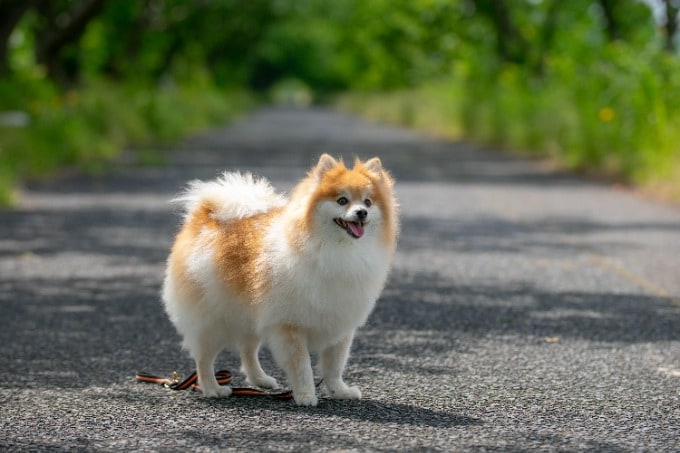 かわいくないですか！？