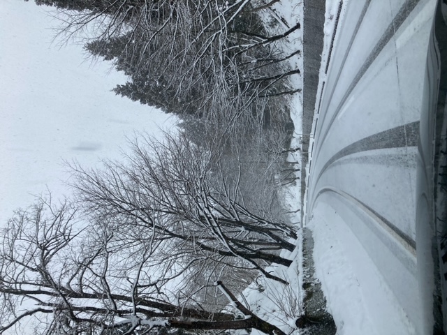 ガリバー金沢増泉店　〜再び雪〜