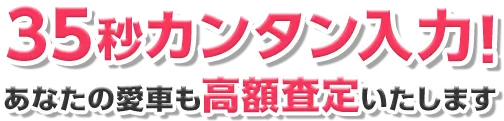 35秒カンタン入力！あなたの愛車も高額査定いたします