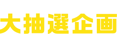 WEB限定 大抽選企画