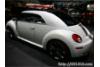 New Beetle Ragster