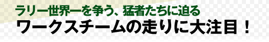 ラリー世界一を争う、猛者たちに迫る。ワークスチームの走りに大注目！