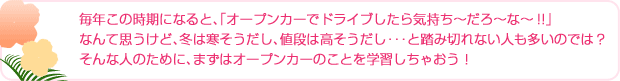 毎年この時期になると、「オープンカーでドライブしたら気持ち〜だろ〜な〜!!」なんて思うけど、冬は寒そうだし、値段は高そうだし･･･と踏み切れない人も多いのでは？そんな人のために、まずはオープンカーのことを学習しちゃおう！