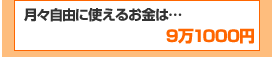 月々自由に使えるお金は…9万1000円