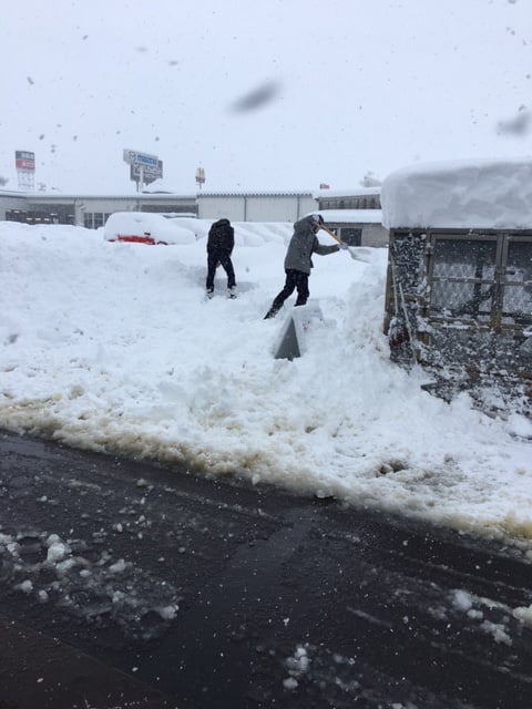 ゆ・・雪がやばーい（ ｉ _ ｉ ）01