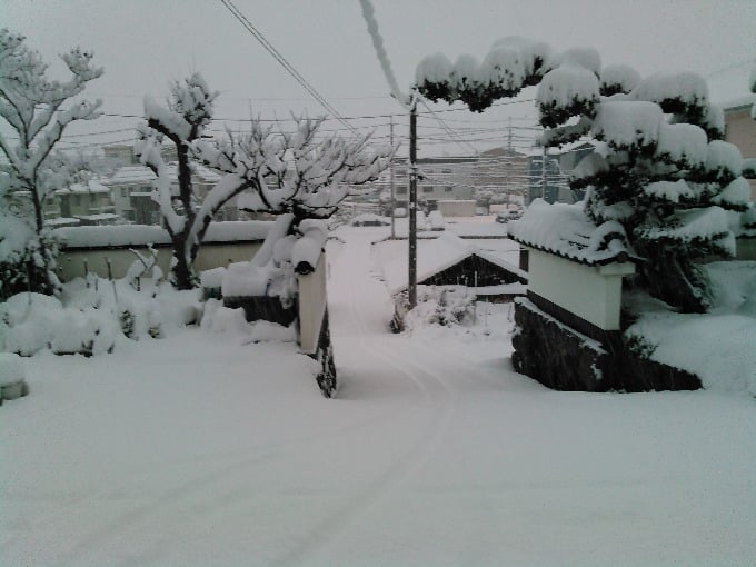 ☆☆☆　本日　雪です　☆☆☆02