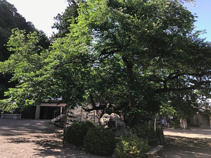 【ガリバーワオタウン大宮 さいたま・上尾・浦和】加藤牧場と高麗神社に行ってきました06