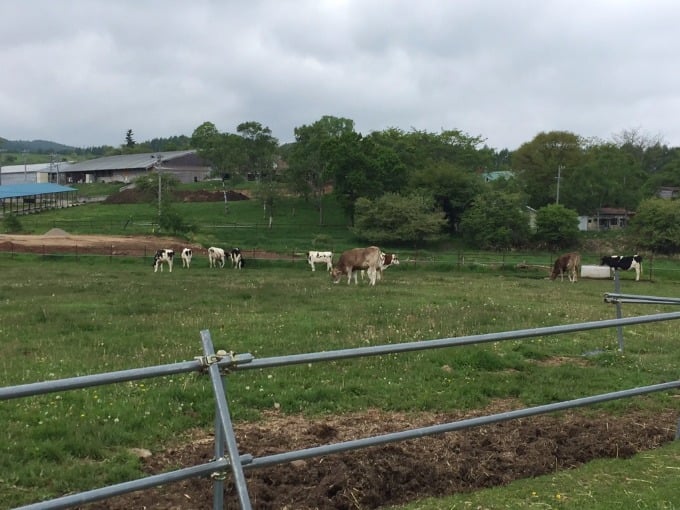 ☆長野県　長門牧場行ってきました☆01