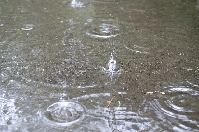 梅雨時期は・・・01