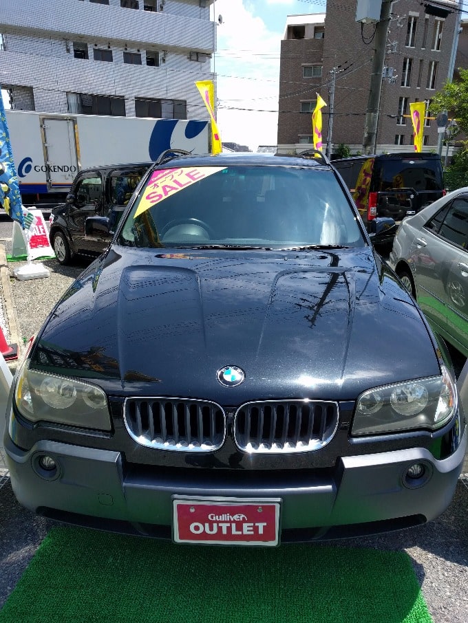 BMW X301