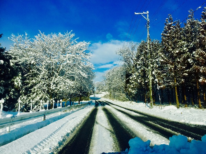 初雪いつかなぁ・・・02