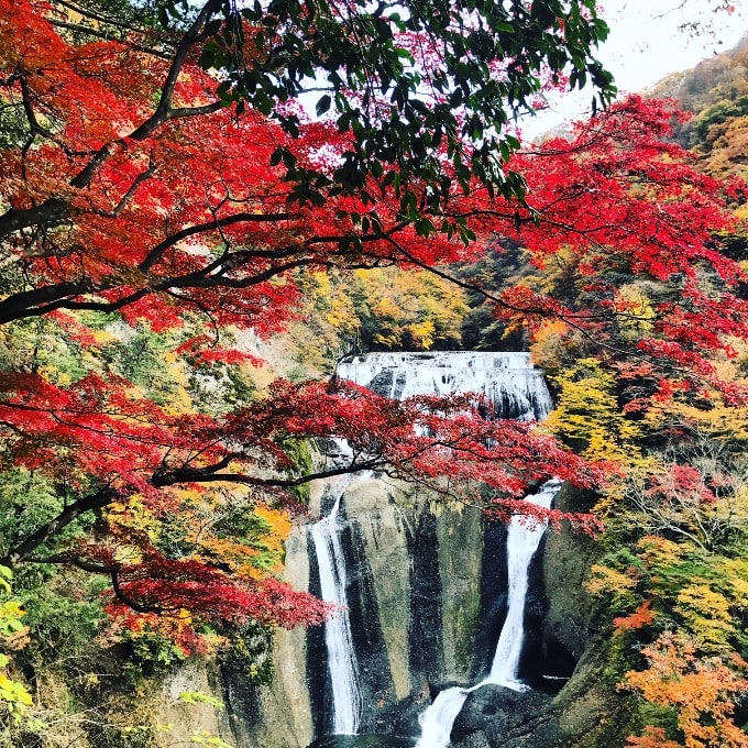 今が紅葉シーズン 袋田の滝 竜神峡 車買取販売ならガリバーワオタウン大宮のスタッフのつぶやき Wt 中古車のガリバー