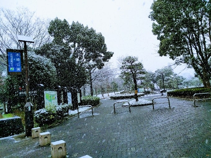 東京で久しぶりの積雪！01