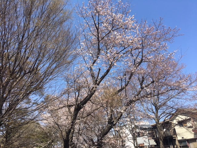 お店からの景色01