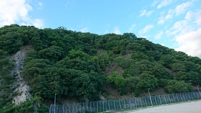 愛媛開拓の巻〜その８〜鹿の島05