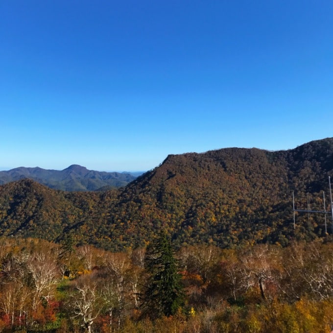 紅葉は、もう少し先ですね…01