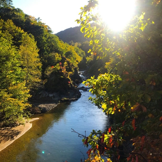 紅葉は、もう少し先ですね…02