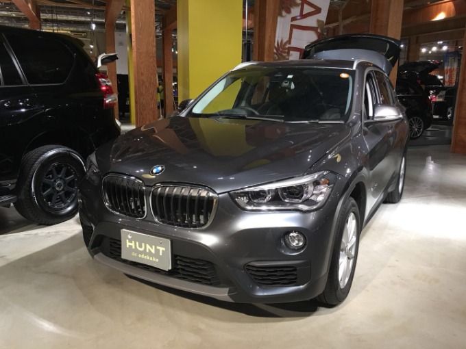 BMW X101