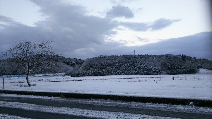 ◇先日の雪・・・◇01