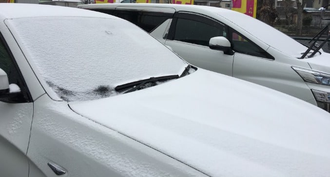 雪！　雪！　雪！01