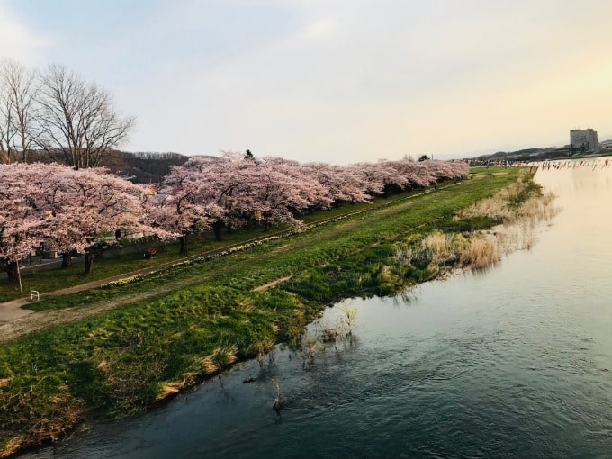 桜が待ち遠しいです♪　by和泉01