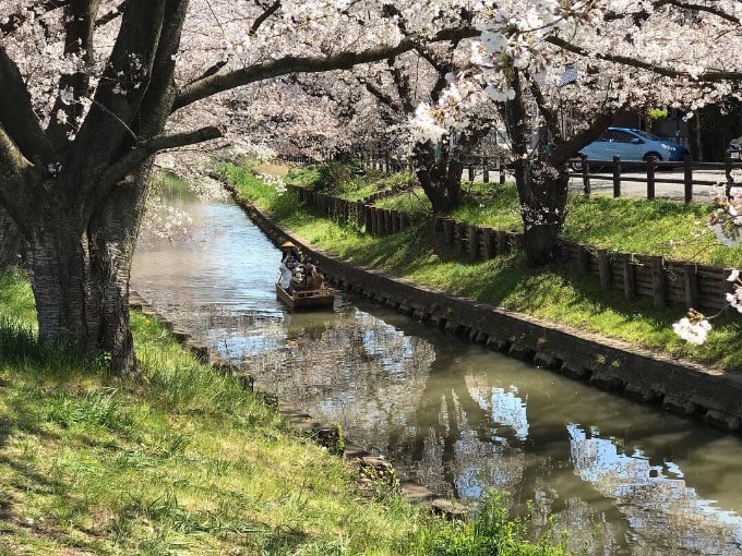 川越氷川神社02