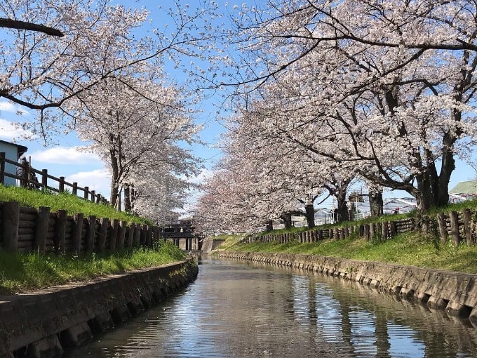 川越氷川神社05