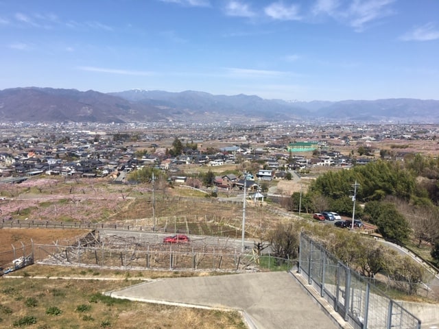 春ですね！！桜満開です！！！！01