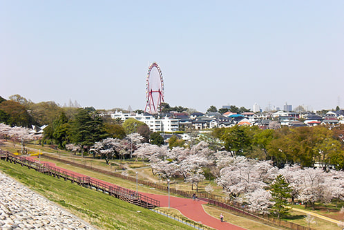 お花見01