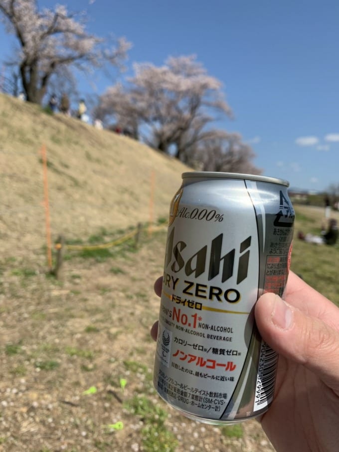 淀川河川公園　背割堤地区の桜並木！　ちょうど満開の桜！！　☆ガリバー滝野社店☆04