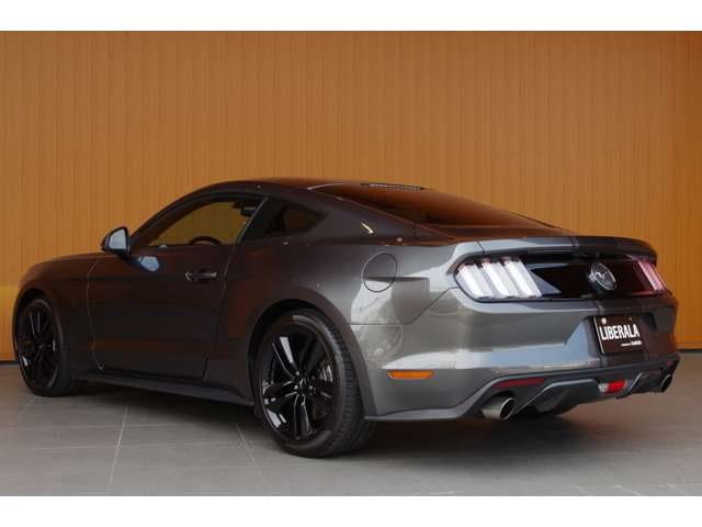 Ford　Mustang　50YEARS　EDITION　03